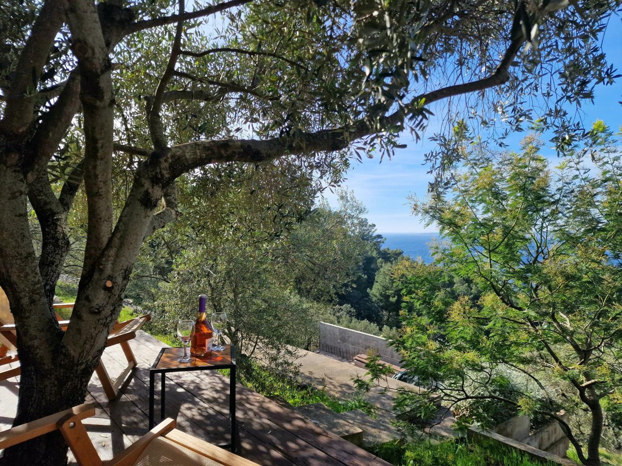 Holiday Home Maslinova 尼亚卢卡 外观 照片