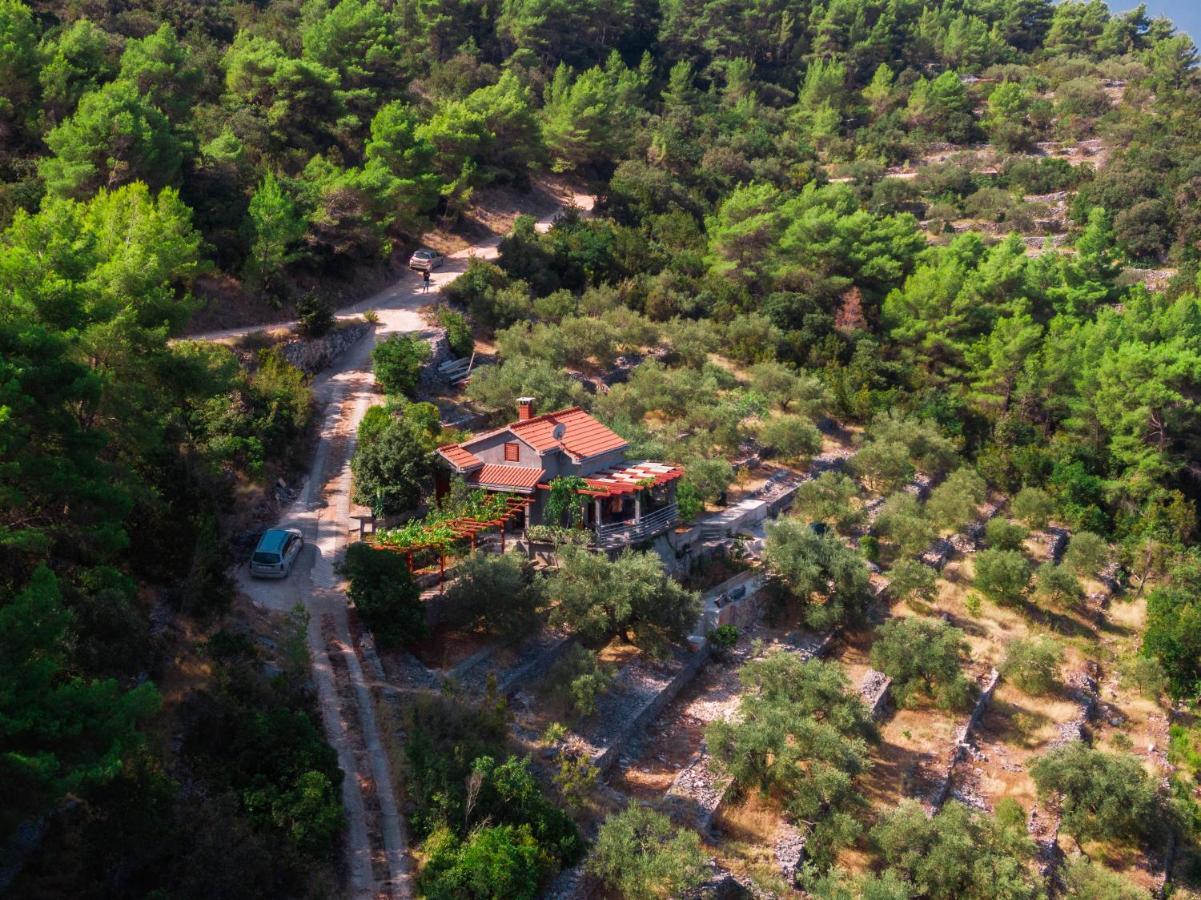 Holiday Home Maslinova 尼亚卢卡 外观 照片